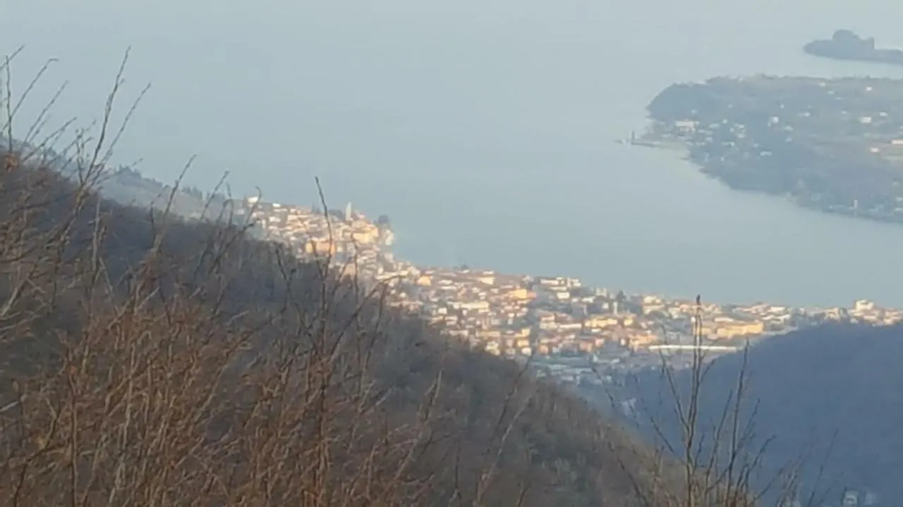 Alex'S Home Crone 0*,  Italia